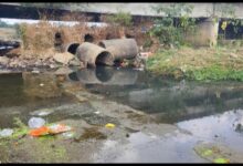 Photo of जहां जानवर तक पानी नहीं पीते वहां छठ कैसे होगा सरकार प्रशासन नगर निगम कहां सोई हुई है