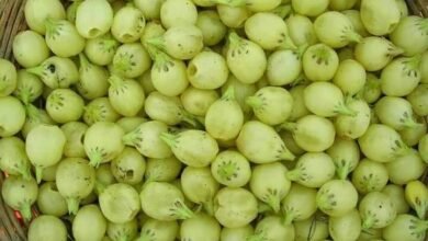 Photo of लोहरदगा की महिलाएं महुआ से बन रही स्वालंबी !