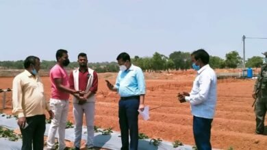Photo of एफपीओ द्वारा स्ट्राबेरी की खेती देखकर उपायुक्त ने किसानों की तारीफ की !
