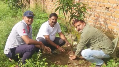 Photo of सेवा पखवाड़ा के तहत कुंटू बाबू ने लगाया फलदार वृक्ष कहा, पर्यावरण को संतुलित रखने से मानव, पेड़ पौधे एवं जीव जंतु स्वस्थ रहते हैं