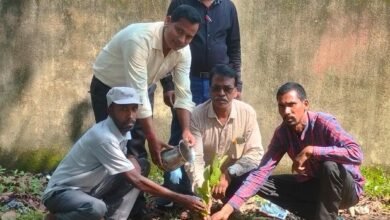 Photo of प्रधानमंत्री के जन्मदिन पर सेवा पखवाड़ा के तहत कोदवे उत्क्रमित मध्य विद्यालय में किया गया पौधरोपण 
