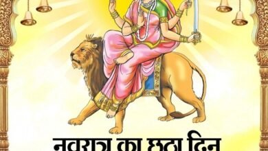 Photo of नवरात्र का छठा दिन: मां कात्यायनी की आराधना,चन्द्रहासोज्ज्वलकरा शार्दूलवरवाहना