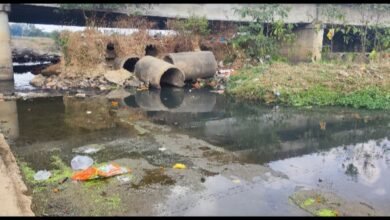 Photo of जहां जानवर तक पानी नहीं पीते वहां छठ कैसे होगा सरकार प्रशासन नगर निगम कहां सोई हुई है